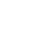 feature-icon